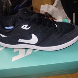 Sb Nikes 