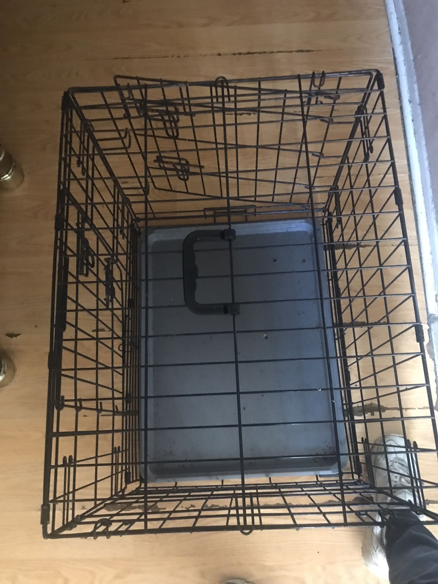 Dog Kennel