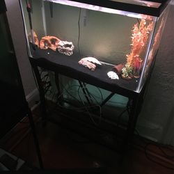 20 Gallon Full Set Up 150