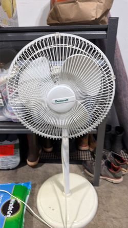 Fan