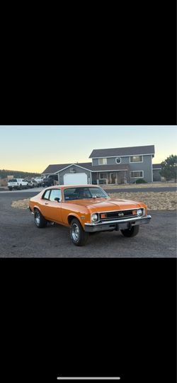 1973 Chevrolet nova