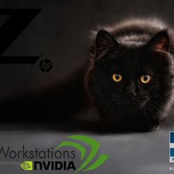 XBOX Gaming Laptop PC ( Powerful Machine w/Nvidia ) Brand New