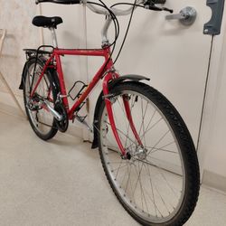 1985 Nashbar Terra XT Commuter/ATB - 18"