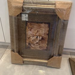 Frame 19x 23 Original Price $108