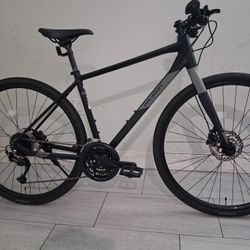 Polygon Path 3 - Urban City Bike