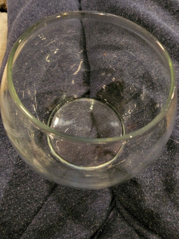 New! Glass Terrarium Bowl! 5" Diameter!!