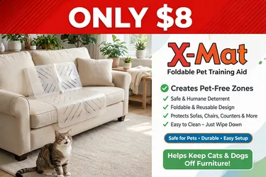 Pet training aid
