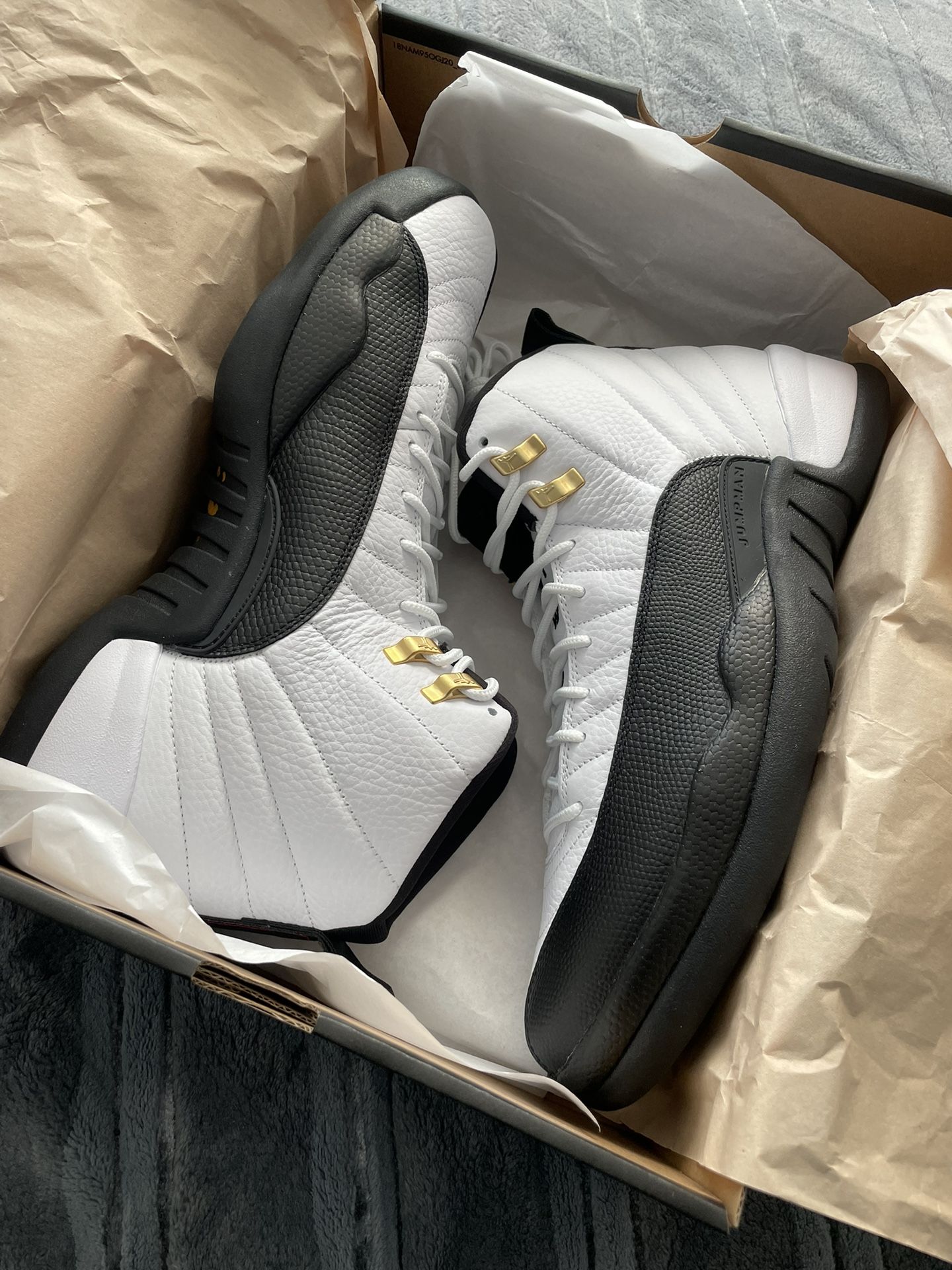Jordan 12 taxi