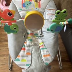 Baby Bouncer