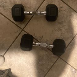 Standard 10 Pound Dumbbells 