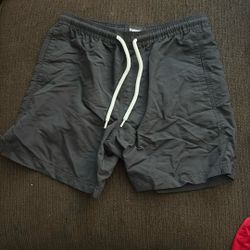 Nylon Shorts