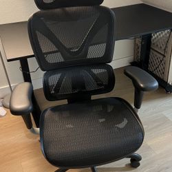 Stand Up Desk, Monitor, Chair 