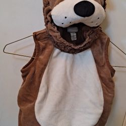 "Koala Kids" Costume- Sz 3-6 mos.