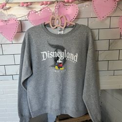 Grey Disneyland Sweatshirt