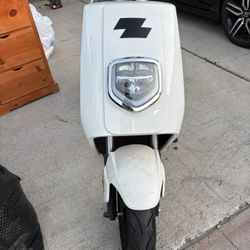 Zebra Scooter Electric NEW!