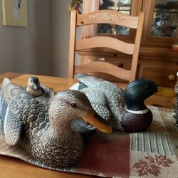 Decoy Ducks