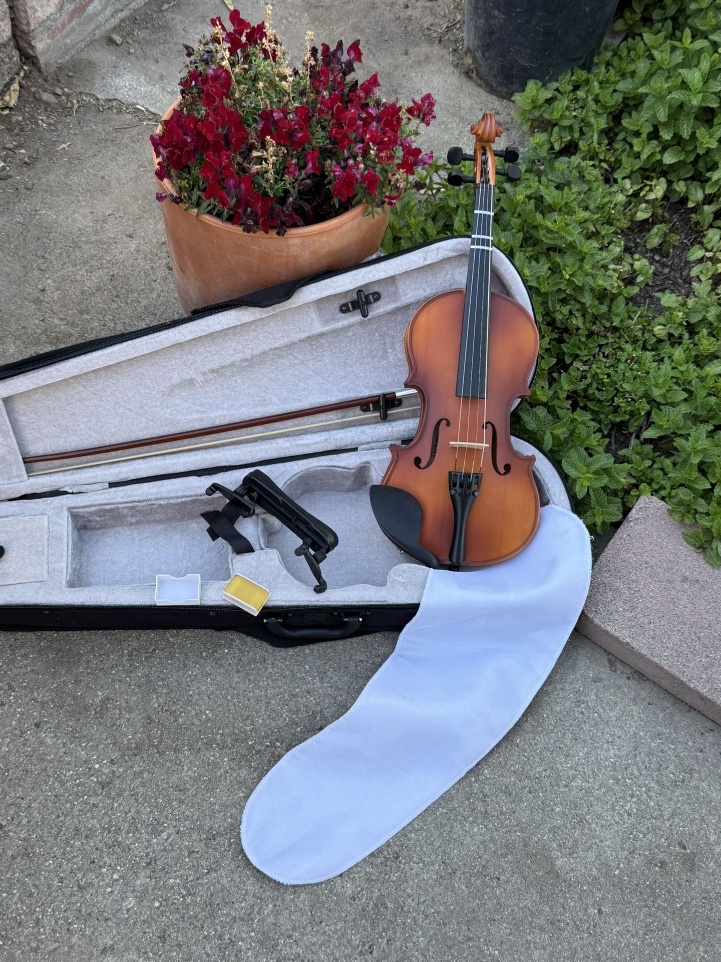 Beautiful 😻 Violin 🎻. 2/1