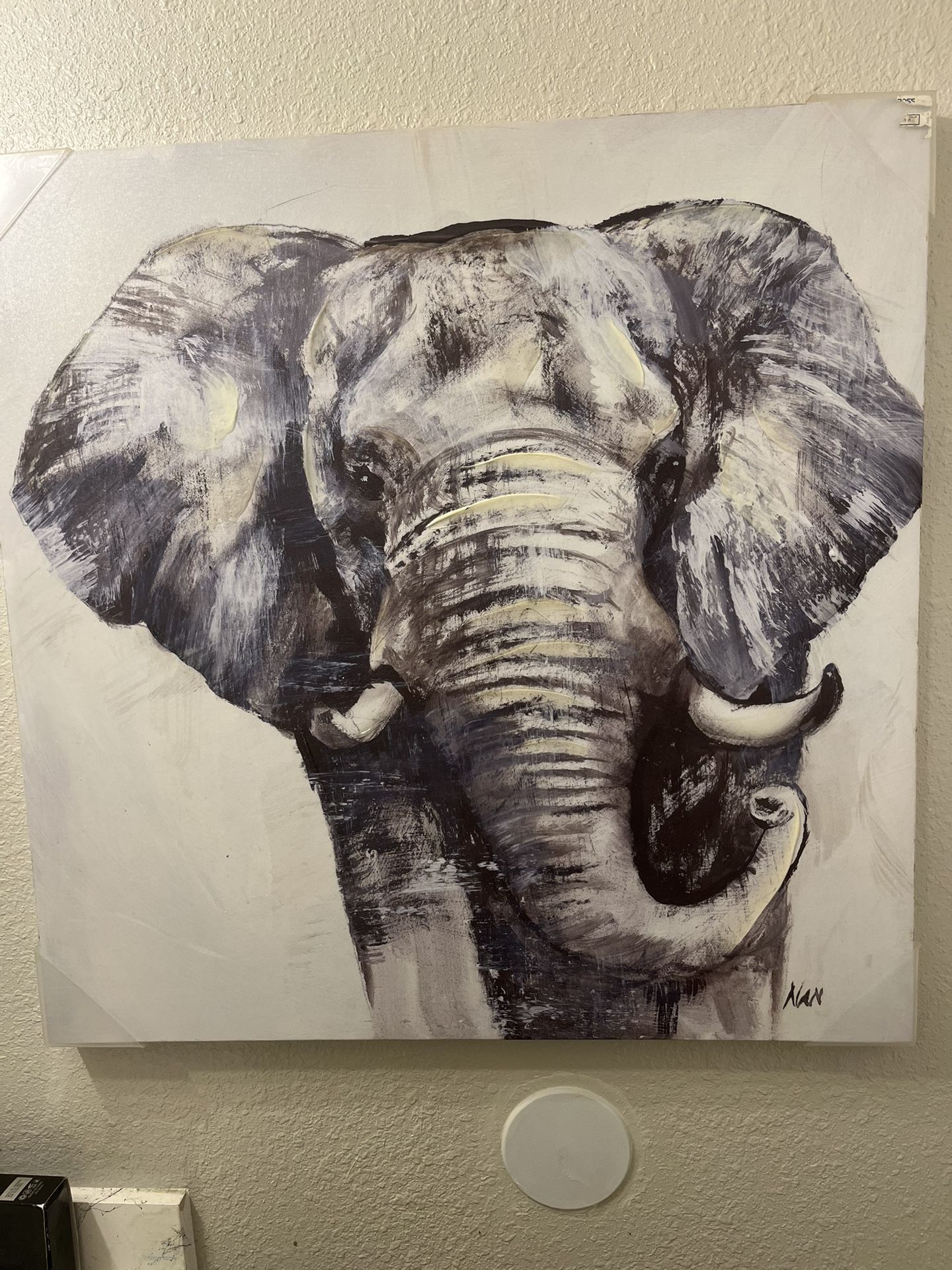 Lots Of Home Decor (cheap Moving Sale)