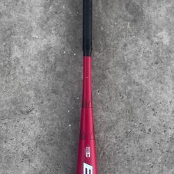 Easton Quantum BBCOR Bat