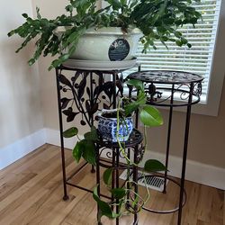 Set of 3 Decorative Wrought Iron Plant Stands