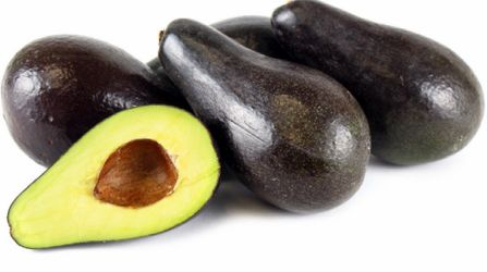 🥑 Steward Avocado Tree🥑 Rare Avocado