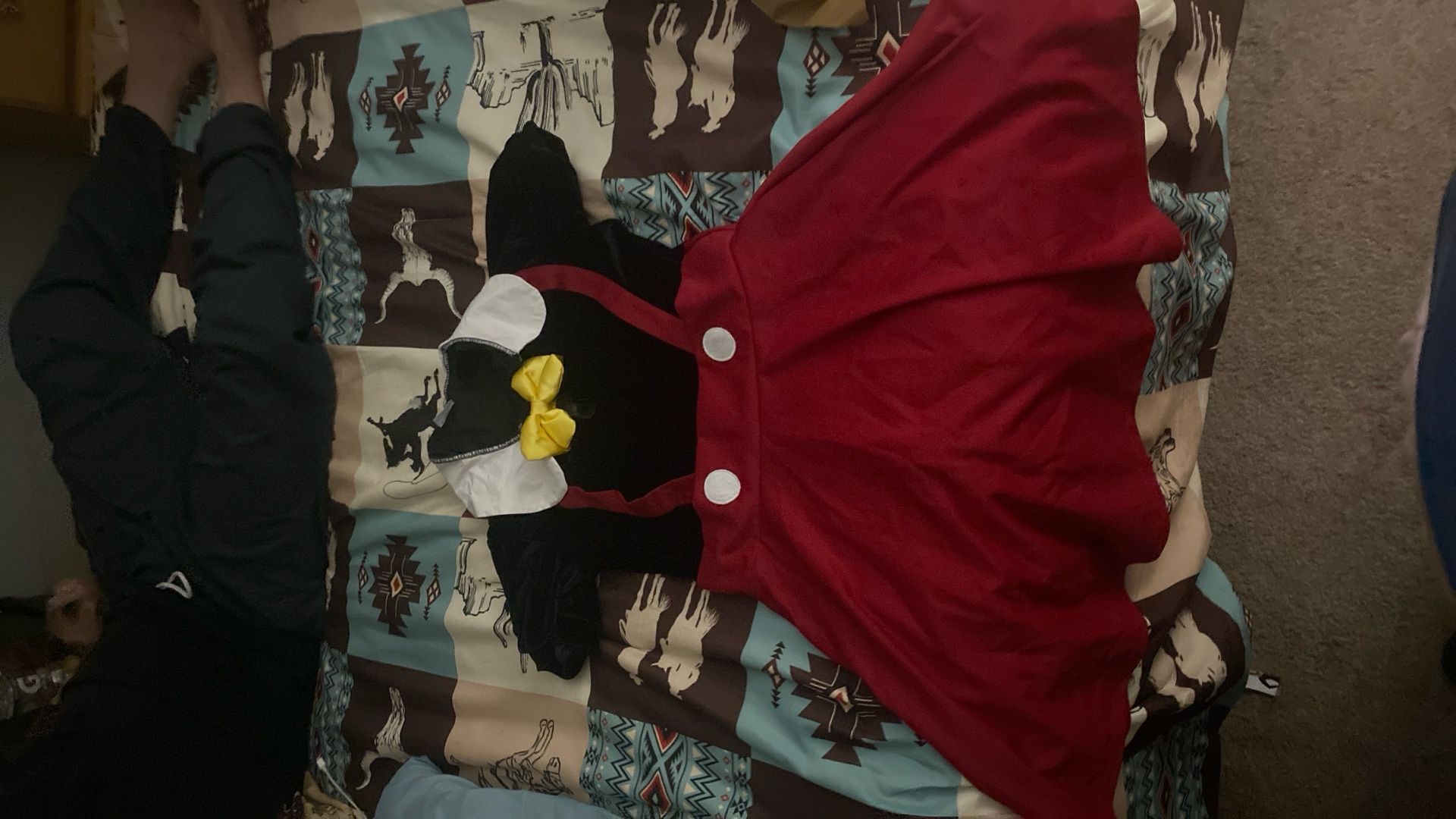 Minnie Mouse Costume 