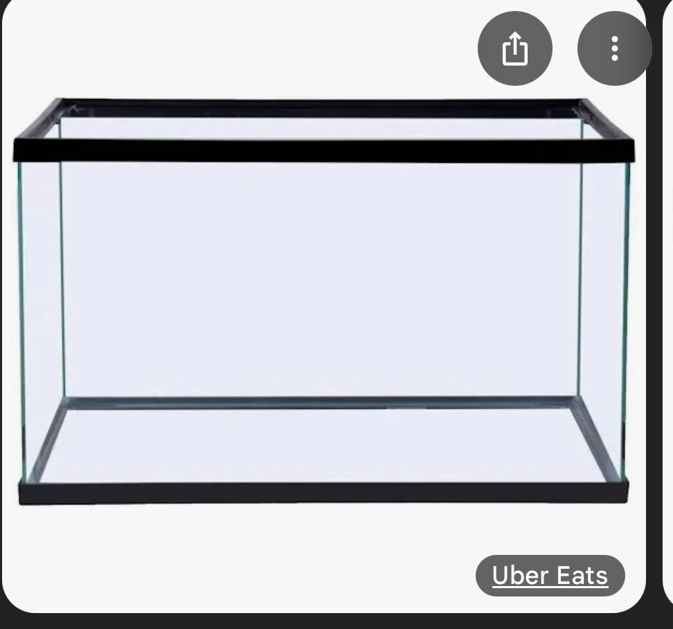 Ten Gallon Reptile/Fish Tank With Lid