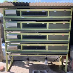 Quail Cage 