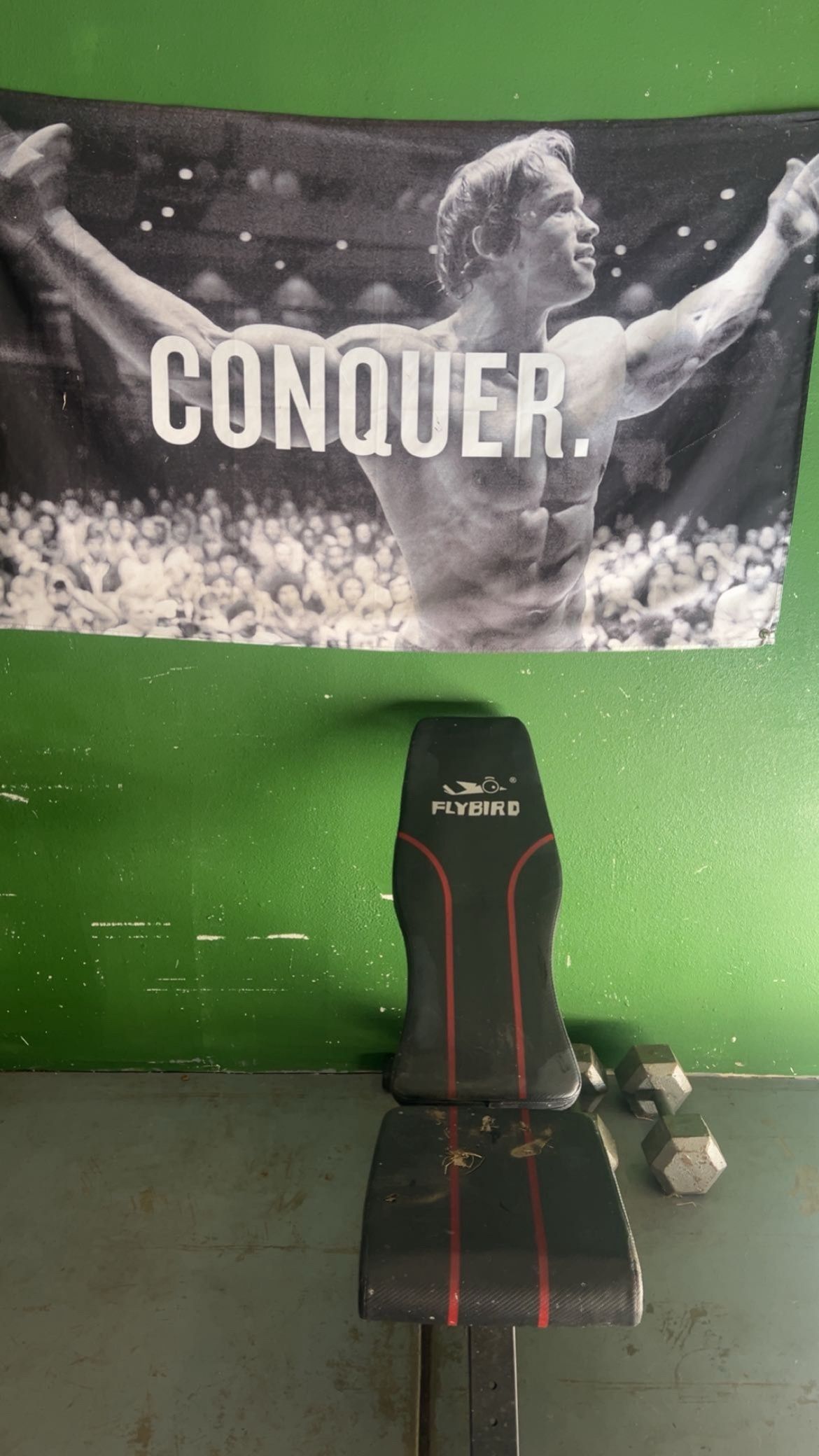 Workout EQUIPMENT