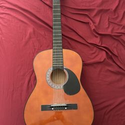 acoustic guitar 