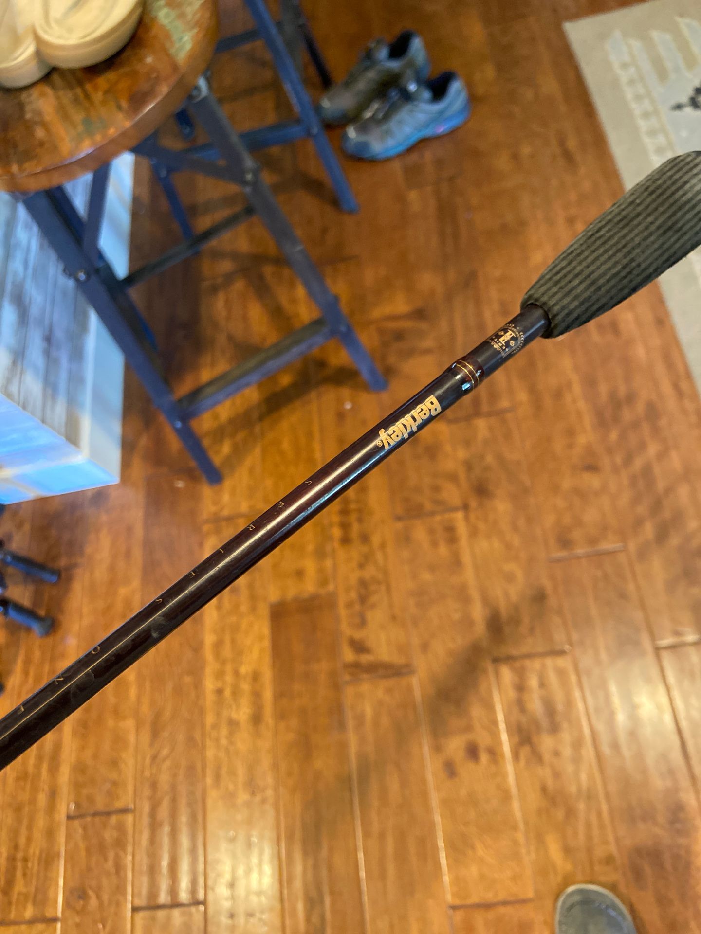 Berkeley series fishing pole