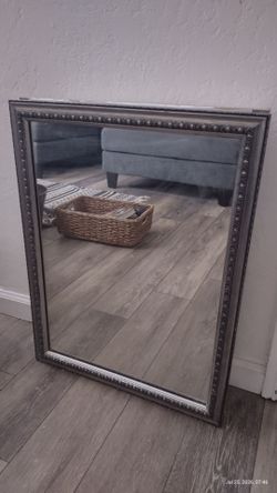 20 in x 26 in Vanity Mirror