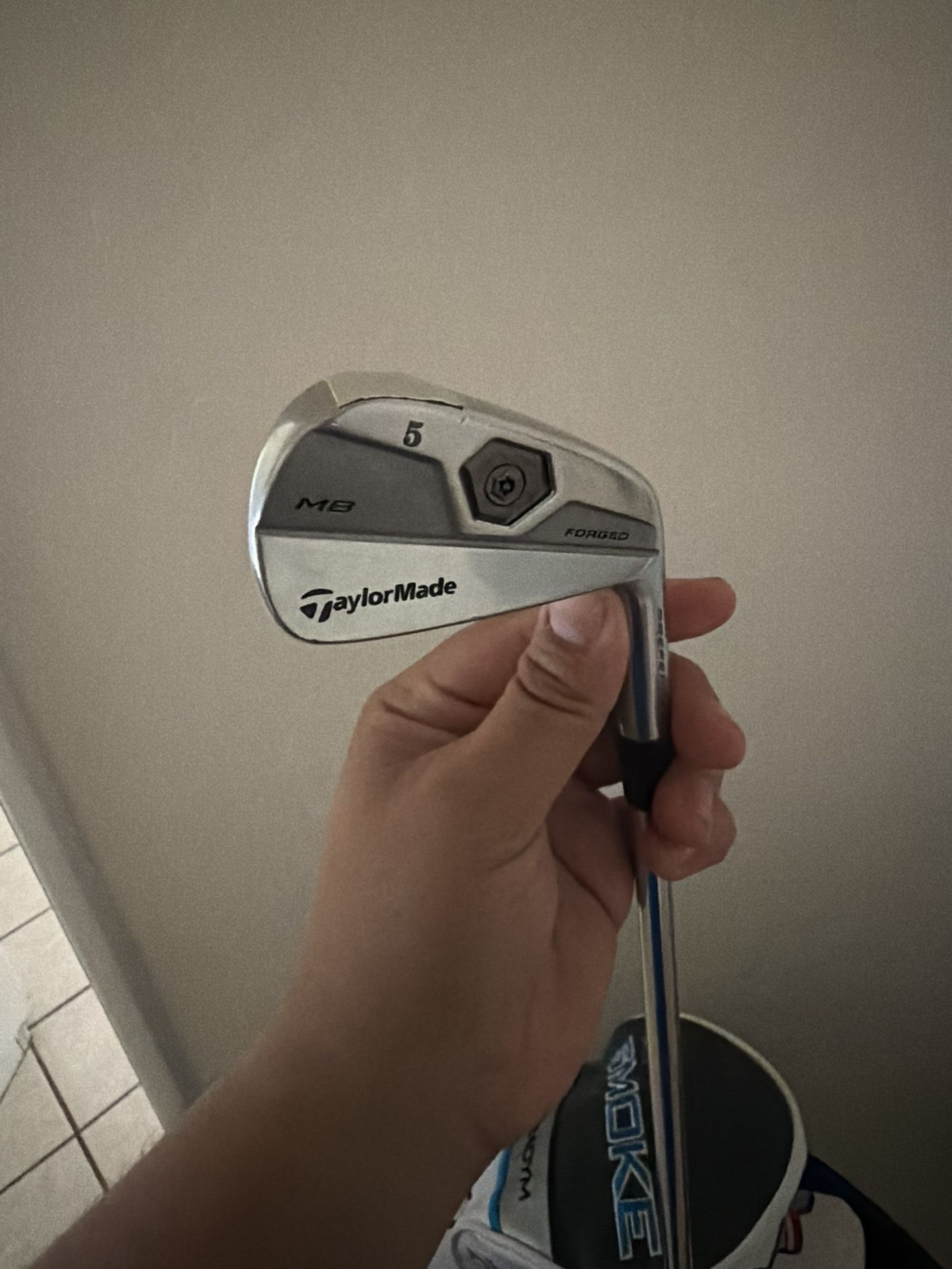 Taylormade Muscle Back Forged Irons 5-9,PW,GW