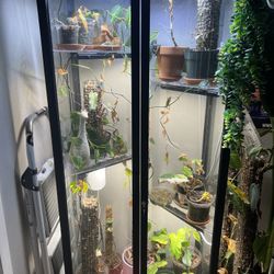 IKEA Greenhouse With Plants