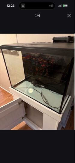 Fish tank plus fish stand