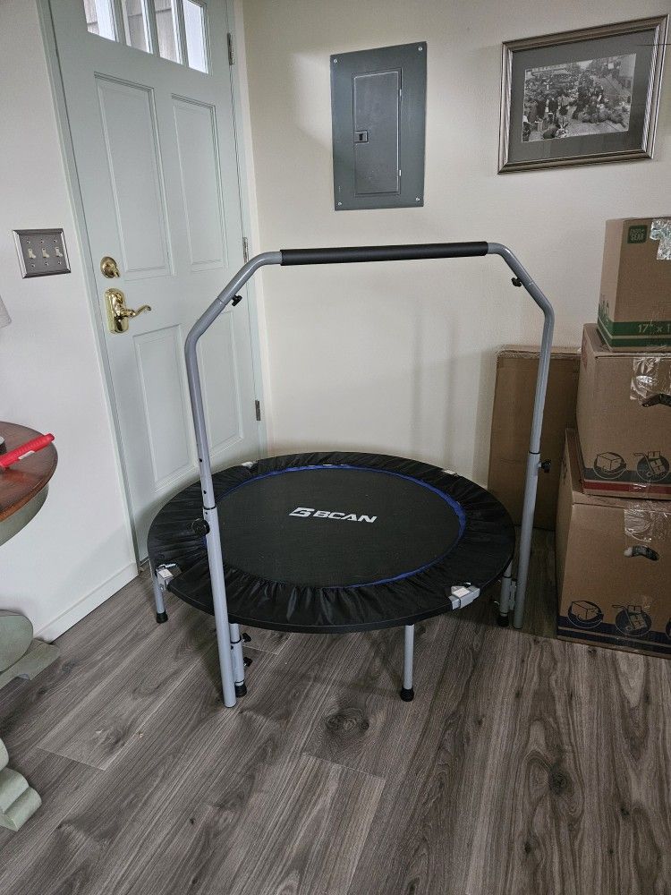 Exercise Trampoline