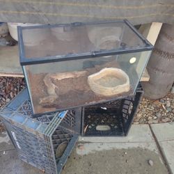 Reptile Habitat