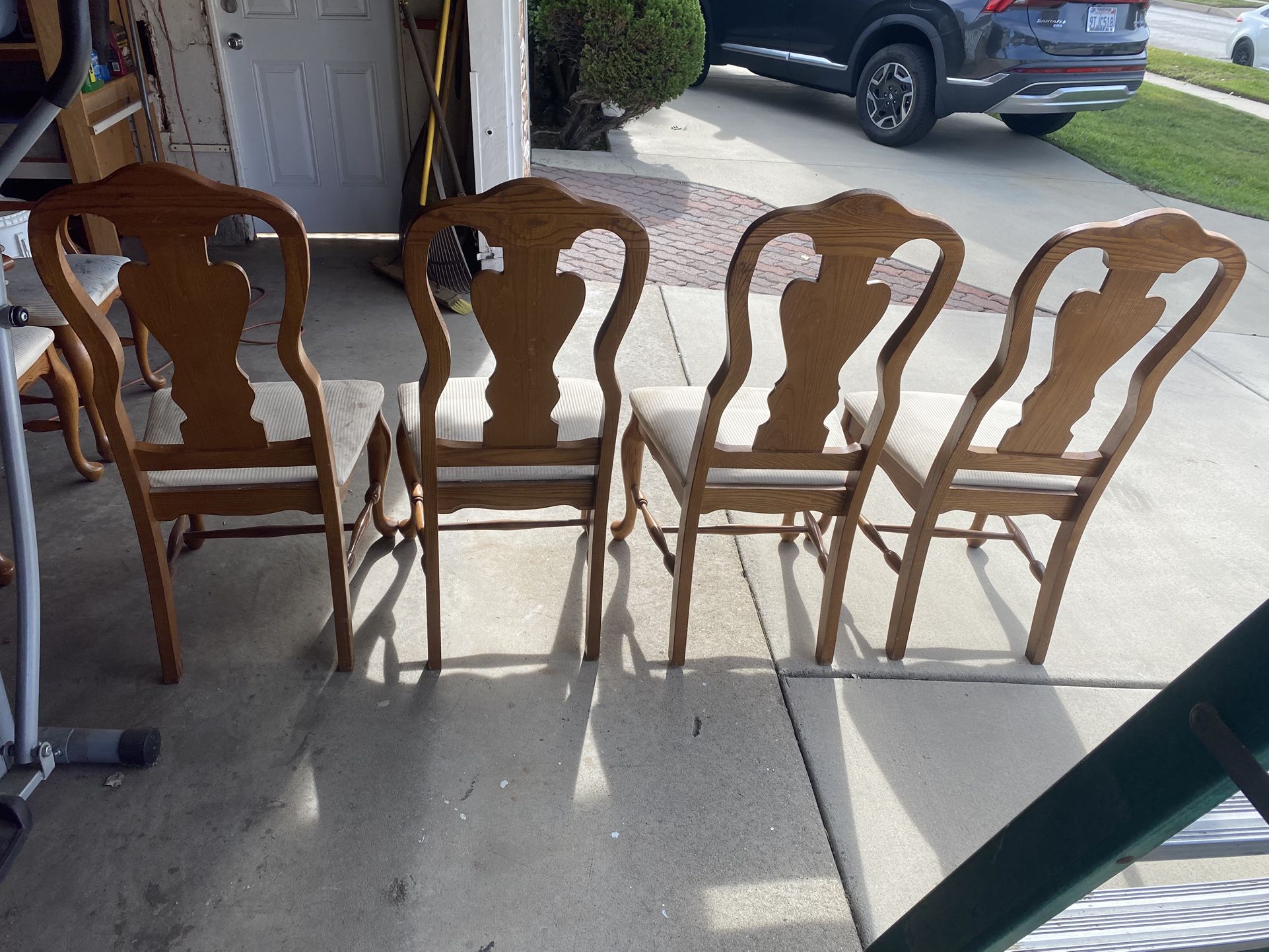 Dinning Chairs Used But Nice