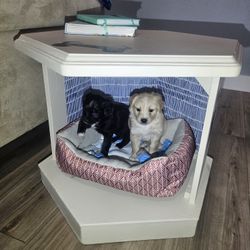 Side Table Pet Bed