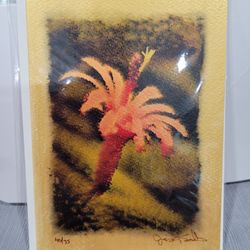 Cactus Flower, The Golden Collection By Artist Jom Swallow