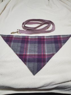 Leash & accessorie Purple