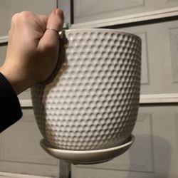 Plant Pot Large