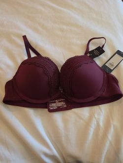 New Maroon bra tommy hilfiger