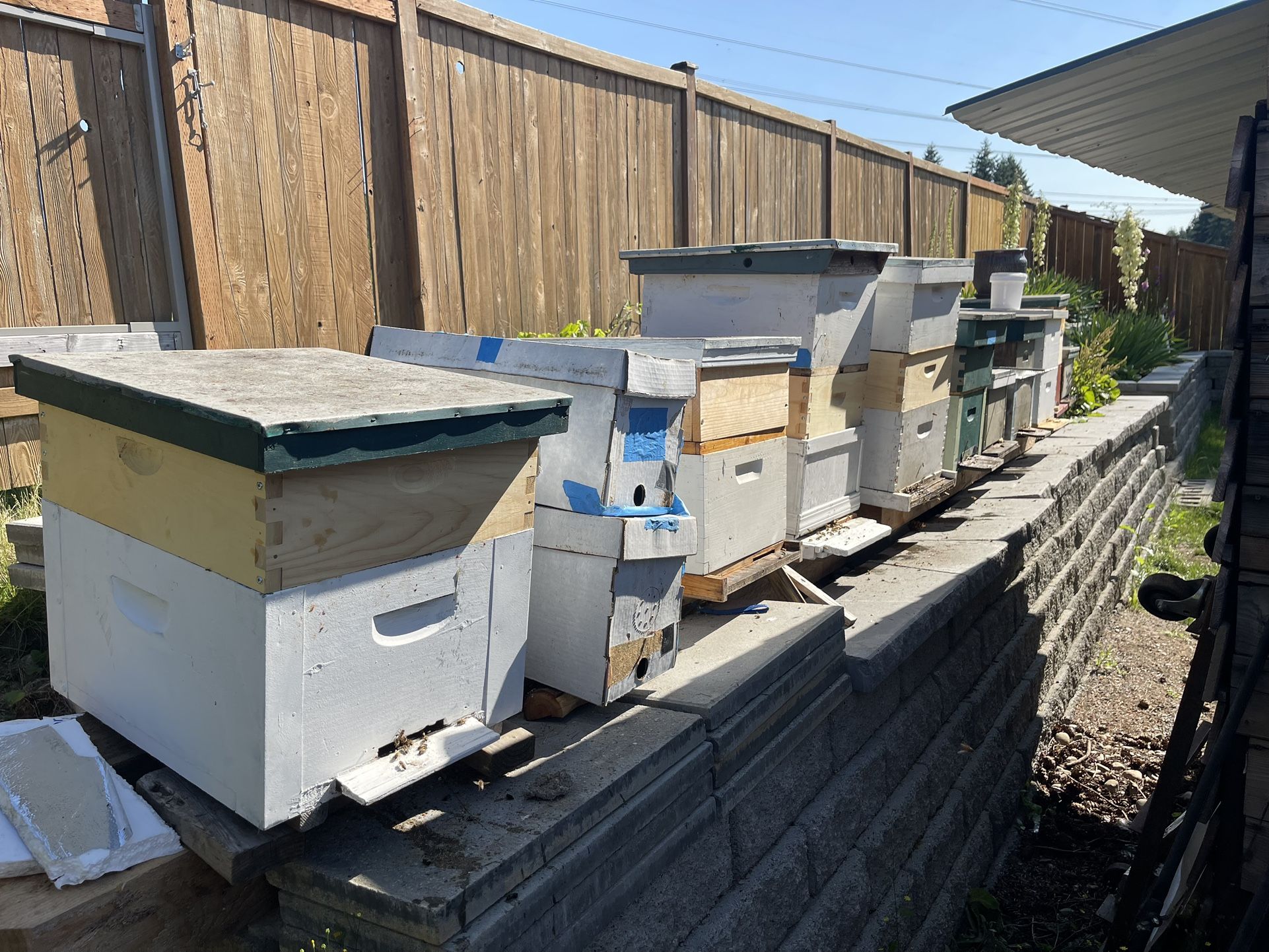 Bee Hive Box With Frames And Bees