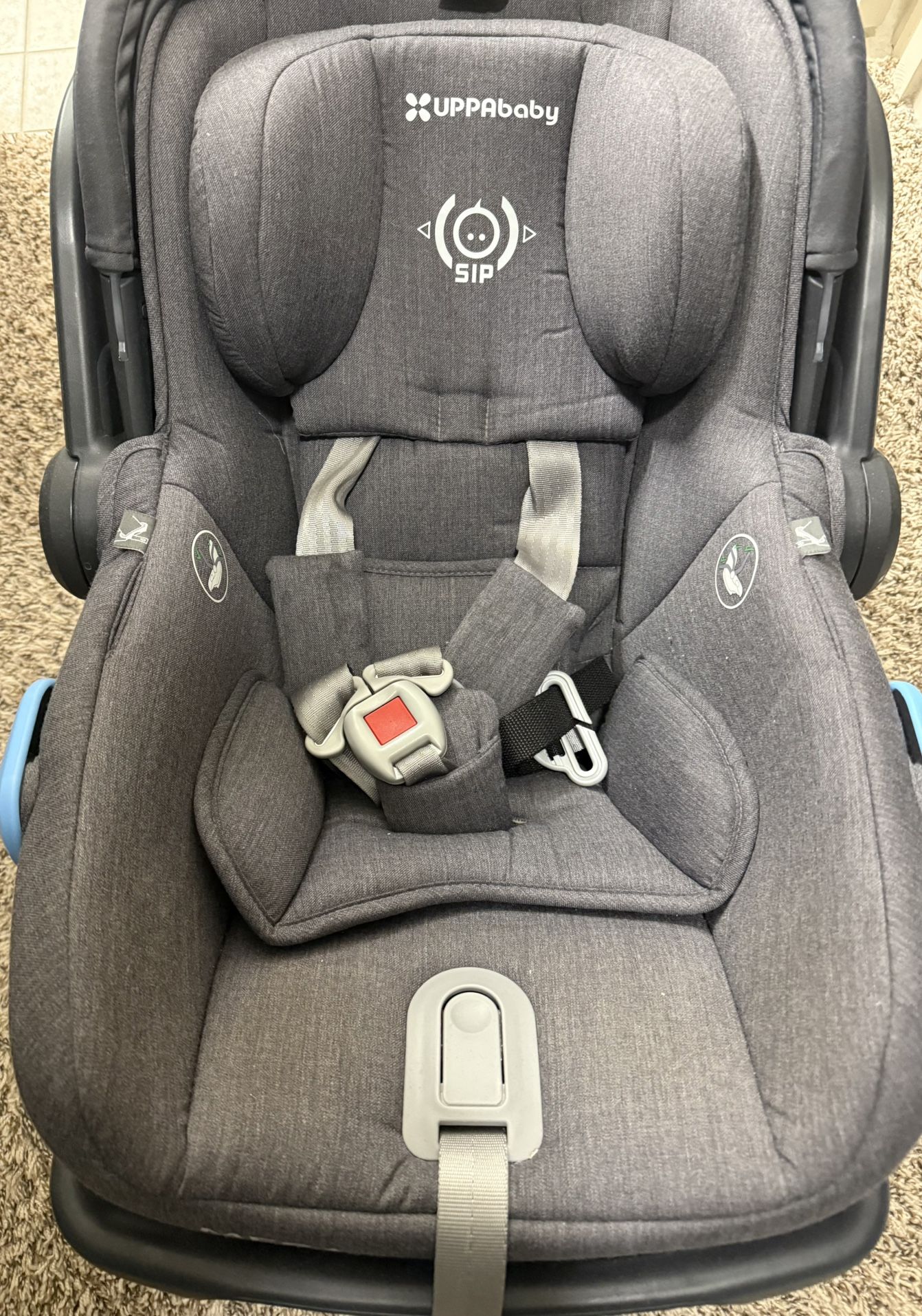 infant car seat (uppababy)
