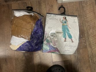 Aladdin And Jasmine Costume