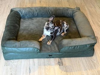 Large Dog Bed 36x25 Sleeping Area - Orthopedic Memory Foam Bolster Sofa - Noah & Paw