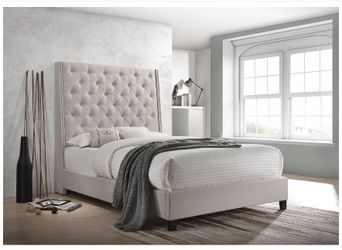 Queen bed frame on sale @Elegant Furniture 🎈🛋free delivery 📦🚚