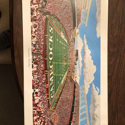 35x17 Unframed Carolina Gamecocks stadium Print