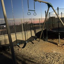 Lifetime Swing Set 